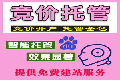 SEM托管优化案例：助力企业实现精准营销
